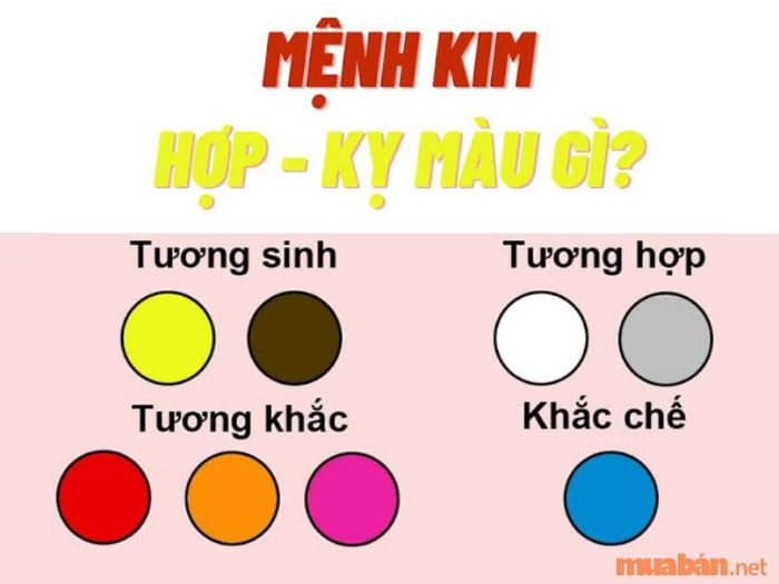 Màu sắc phù hợp với nam mạng Canh Tuất 1970
