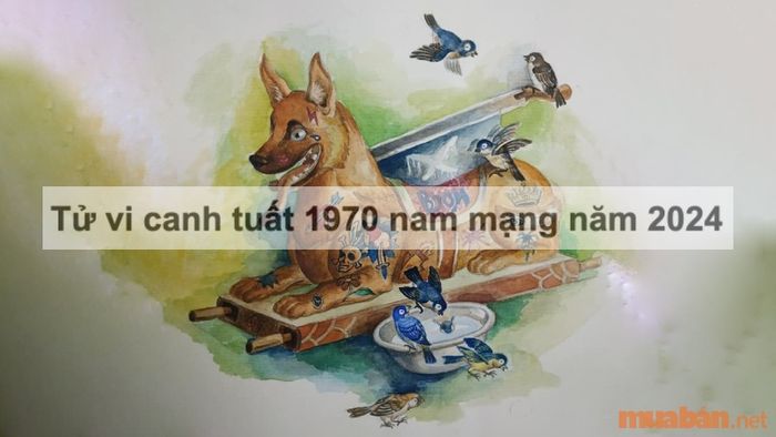Tử vi Canh Tuất 1970 Nam Mạng Năm 2024