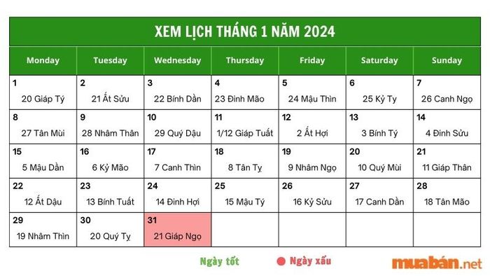 Tra cứu luận giải chi tiết cho ngày 31 tháng 1 năm 2024