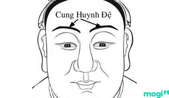 Sao Tam Thai ở cung Huynh Đệ báo hiệu rằng mệnh chủ sẽ có những mối quan hệ anh chị em vô cùng quý giá, giúp đỡ lẫn nhau trong cuộc sống.