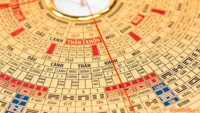 Cung Phi Của Nam Mạng Canh Tuất 1970 Trong Năm 2024