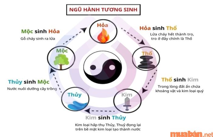 Ngũ hành trong tử vi Bính Ngọ nam mạng năm 2024