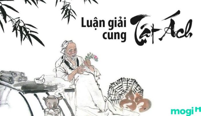 Sao Tam Thai ở cung Tật Ách phản ánh tình trạng sức khỏe của mệnh chủ, giúp giảm thiểu các vấn đề liên quan đến bệnh tật.