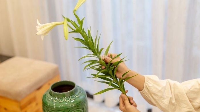 Đặc điểm nhận dạng hoa Loa Kèn - Nguồn: CafeF