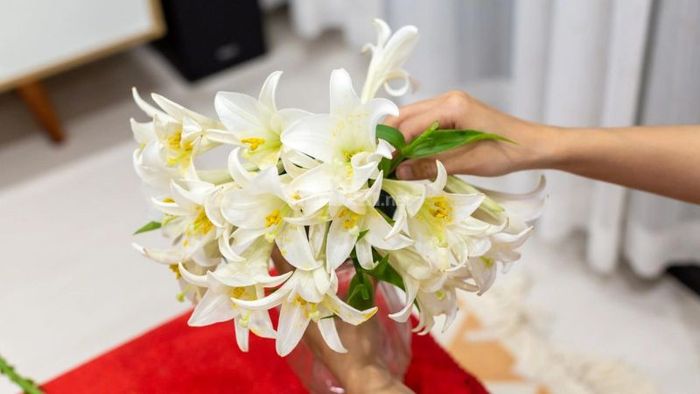 Nhớ loại bỏ những lá dập khi cắm hoa loa kèn để hoa tươi lâu hơn