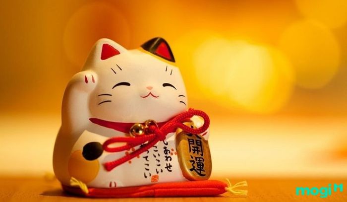 Đất nở hậu là gì?