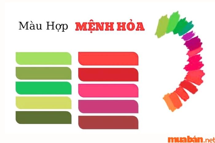 Tuổi Giáp Tuất 1994 thuộc mệnh Hỏa, do đó, những màu sắc hợp nhất sẽ là: cam, đỏ, hồng, tím và xanh lá cây, mang lại may mắn và sự thuận lợi trong năm 2024.