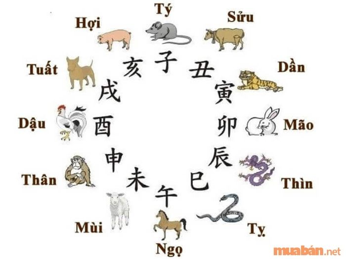 Địa Chi Năm 2024 Của Nam Mạng Canh Tuất 1970
