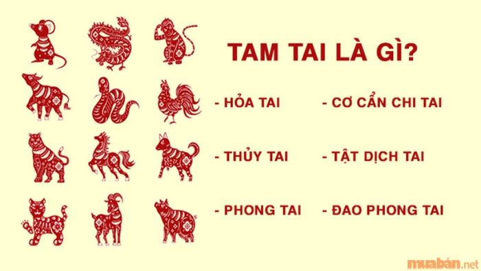 Tuổi Canh Tuất 1970 không gặp phải hạn Tam Tai trong năm 2024.