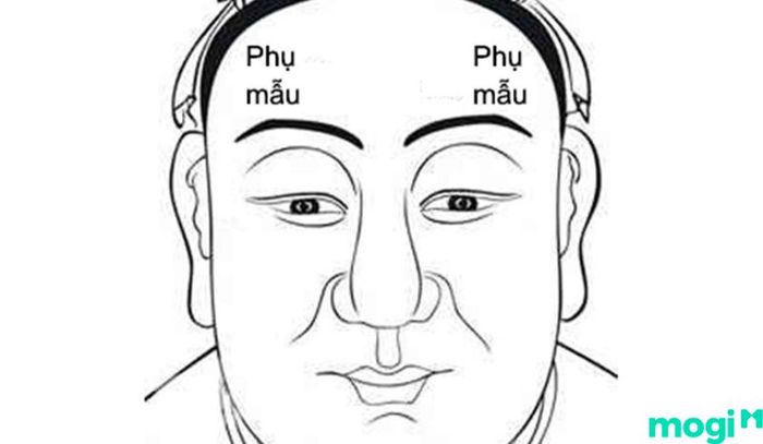 Sao Tam Thai ở cung Phụ Mẫu mang lại nhiều cơ hội thành công và may mắn, nhất là khi mệnh chủ còn trẻ.