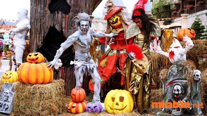 Lễ hội Halloween 31/10