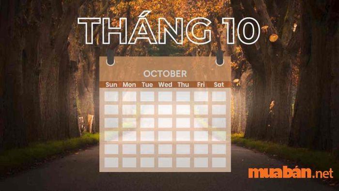 Tổng hợp các ngày lễ và sự kiện quan trọng tại Việt Nam và trên thế giới trong tháng 10.