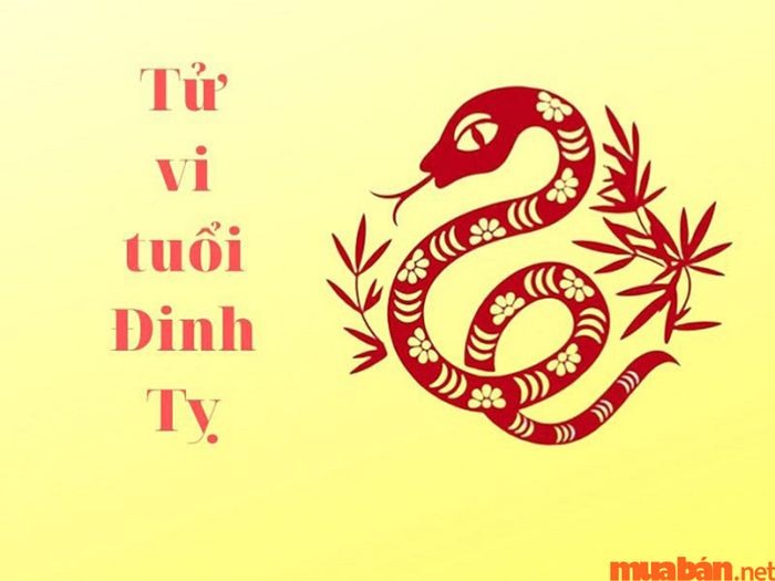 Phân tích tử vi 12 tháng của tuổi Đinh Tỵ 1977