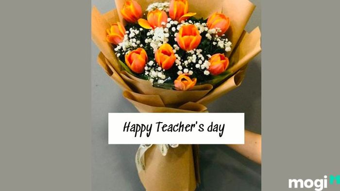 Tặng hoa Tulip vào Ngày Nhà giáo là cách tuyệt vời để bày tỏ lòng kính trọng và biết ơn với những người thầy, người cô đã dìu dắt mình suốt quãng thời gian trưởng thành.