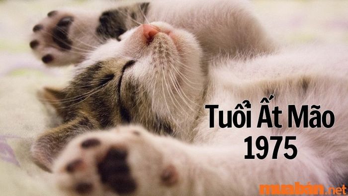 Tổng quan về gia chủ tuổi Ất Mão: Những thông tin cần biết