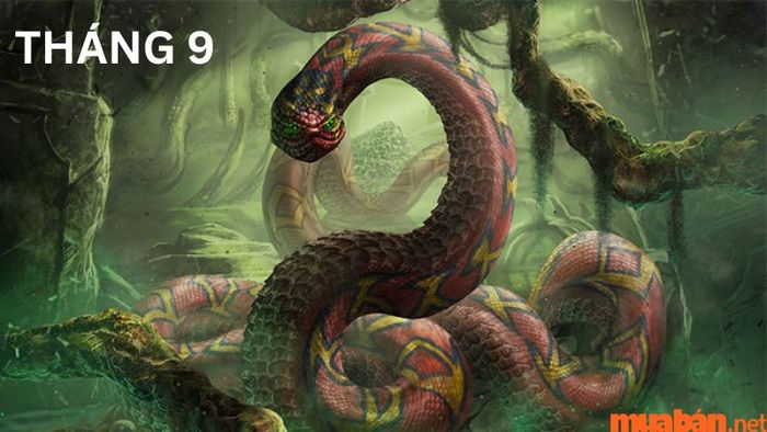 Tử vi tháng 9 tuổi Tỵ năm 2024