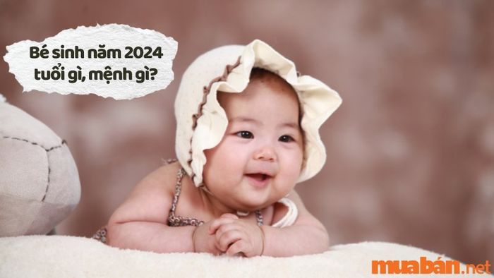 Bé sinh năm 2024 thuộc con giáp và mệnh gì?