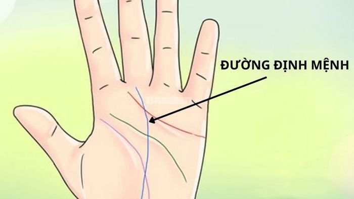 Đường định mệnh