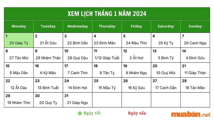 Cùng tìm hiểu chi tiết về ngày 1/1/2024 qua luận giải dưới đây