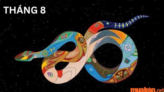 Tử vi tháng 8 tuổi Tỵ năm 2024