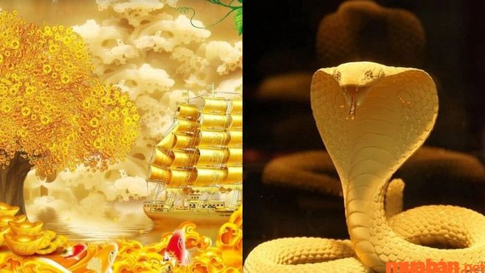 Tài lộc tuổi Tỵ năm 2024