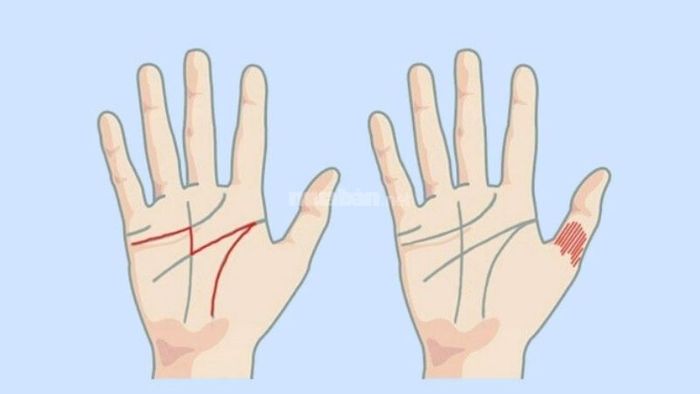 Hướng dẫn cách xem bói chỉ tay chính xác