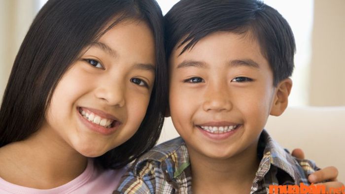 Ý Nghĩa Sao Thiếu Âm Tại Cung Huynh Đệ