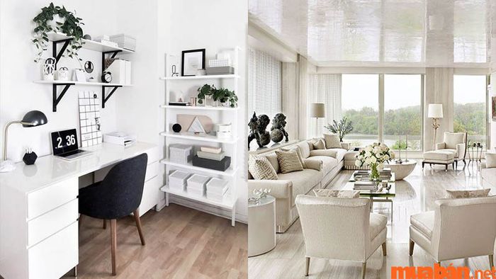 Các màu trắng, bạc, ghi, xám không hợp với mệnh Tang Đố Mộc.