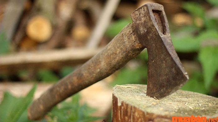 Mệnh Tang Đố Mộc khắc với các mệnh Kim, một số mệnh Thổ và Thủy.