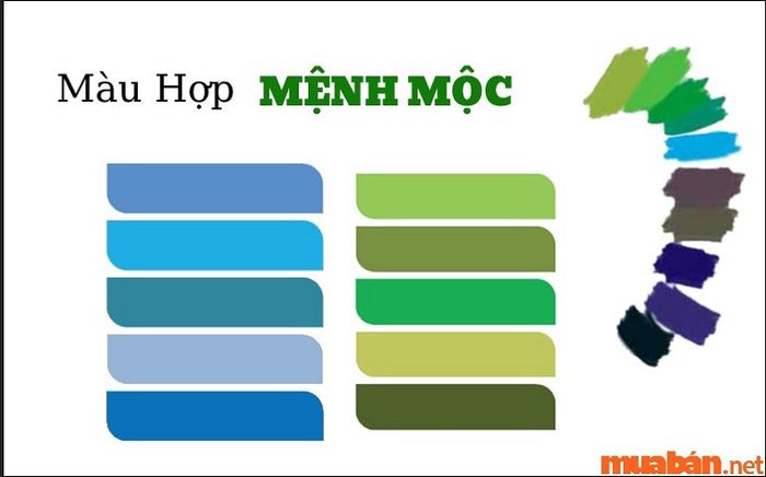 Với mệnh Mộc của tuổi Kỷ Tỵ 1989, việc chọn màu sắc phù hợp là rất quan trọng để thu hút năng lượng tích cực và may mắn vào ngôi nhà.
