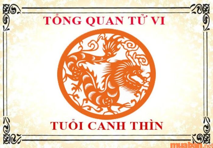 Thông tin tổng quan về nam 2000 tuổi Canh Thìn