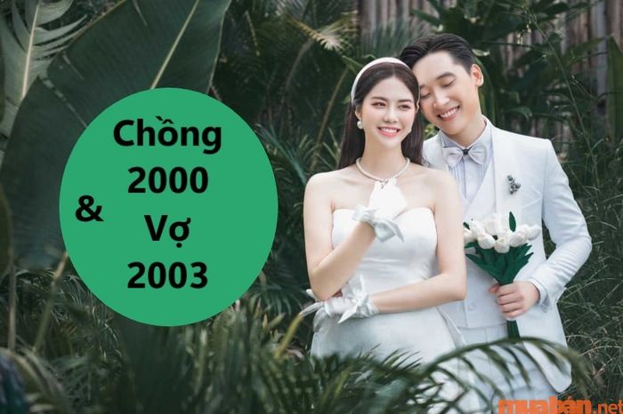 Nam 2000 có hợp với vợ tuổi 2003 không, nếu vợ là tuổi Quý Mùi thì sao?