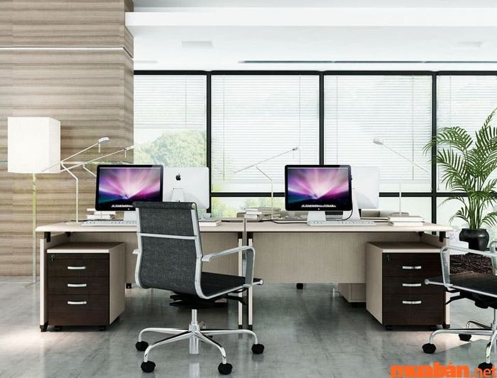 Khi đặt bàn làm việc, nên chọn hướng ra cửa thay vì quay lưng vào tường.