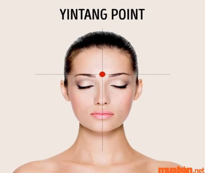 Khám phá tướng số qua huyệt Ấn đường