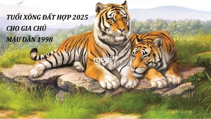 Chọn tuổi xông đất cho gia chủ Mậu Dần 1998