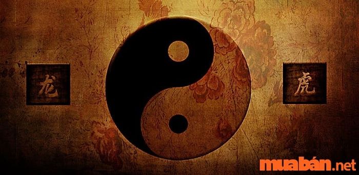 Thiên Quý được hình thành từ sao Văn Khúc, mang lại đức tính thành thật và khoan dung.