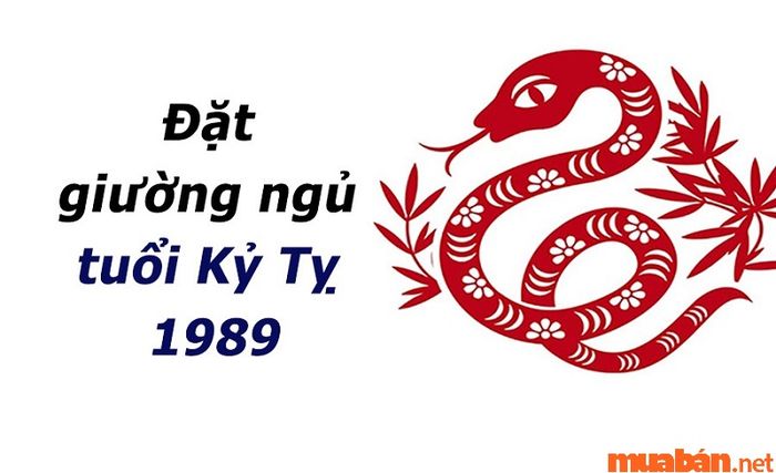 Tuổi Kỷ Tỵ nên chọn hướng nào khi đặt giường ngủ?