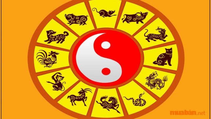 Lục Thập Hoa Giáp là hệ thống gì?