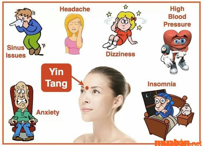 Ấn đường là gì: Cách nhận biết tình trạng sức khỏe qua sắc khí Ấn đường