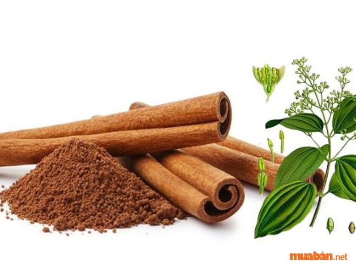 Cách đuổi ong ra khỏi nhà một cách an toàn và hiệu quả