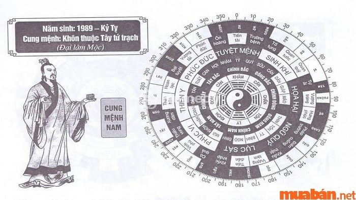 Hướng nào hợp phong thủy cho nam sinh năm 1989 thuộc Tây Tứ Mệnh?