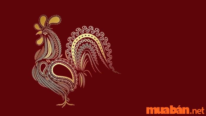 Nam sinh năm 1981 thuộc cung gì? Luận giải chi tiết