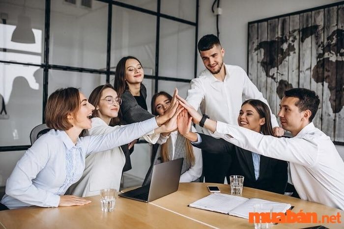 Nếu Thiên Quý tọa ở Nô Bộc, người sở hữu sẽ có đồng nghiệp và cấp dưới trung thành, đắc lực, luôn hỗ trợ họ trong công việc.