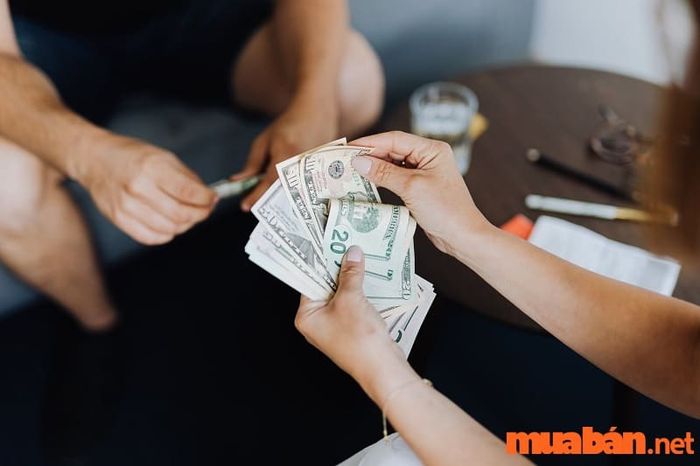 Khi sao Thiên Quý ở cung Tài Bạch, chủ mệnh thường có tài chính ổn định và rủng rỉnh, sống đầy đủ và thoải mái.