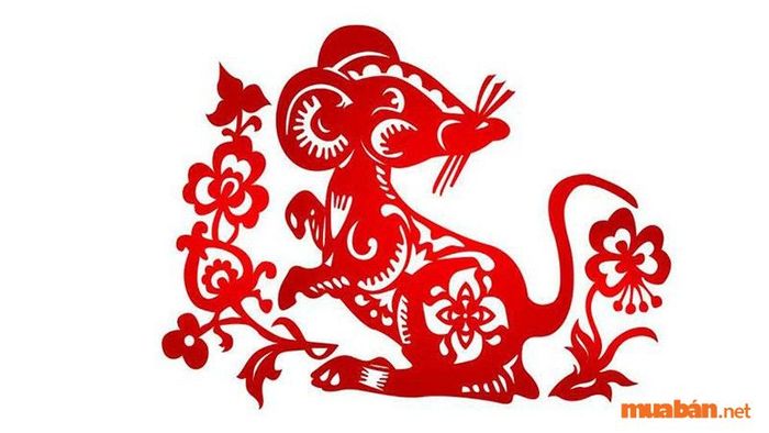 Phân tích vận mệnh của tuổi Giáp Tý