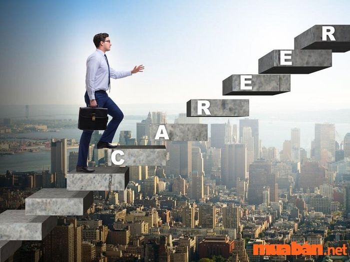 Khi sao Thiên Quý kết hợp với Thiên Việt và Thiên Khôi, chủ mệnh sẽ gặp nhiều cơ hội trong công việc, cuộc sống, dễ dàng thăng tiến và được người khác đề bạt.
