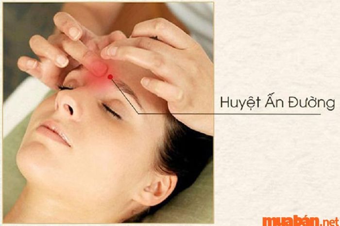 Ấn đường là gì: Hướng dẫn bấm huyệt Ấn đường