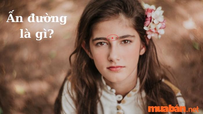 Khám phá ngay tài vận và sức khỏe qua huyệt Ấn đường