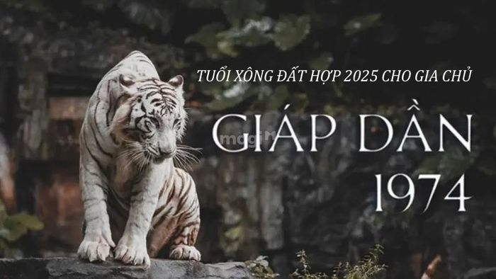 Tuổi xông đất cho gia chủ Giáp Dần 1974