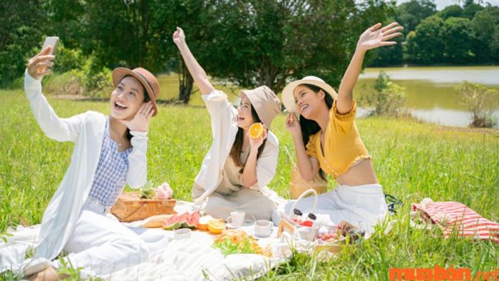 Ý Nghĩa Sao Thiếu Âm Tại Cung Nô Bộc